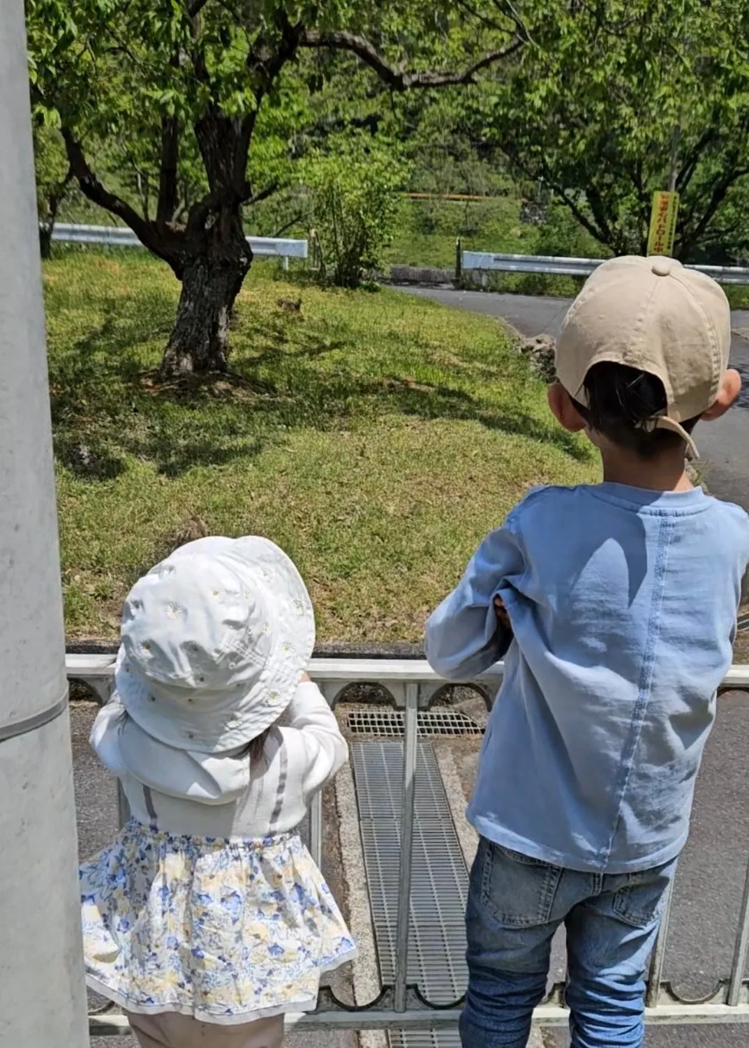 【職員コラム】癒しの１コマ🌼